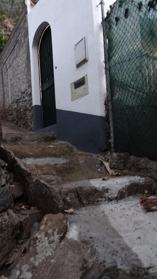 Apartament Casa Da Faja Funchal  Zewnętrze zdjęcie